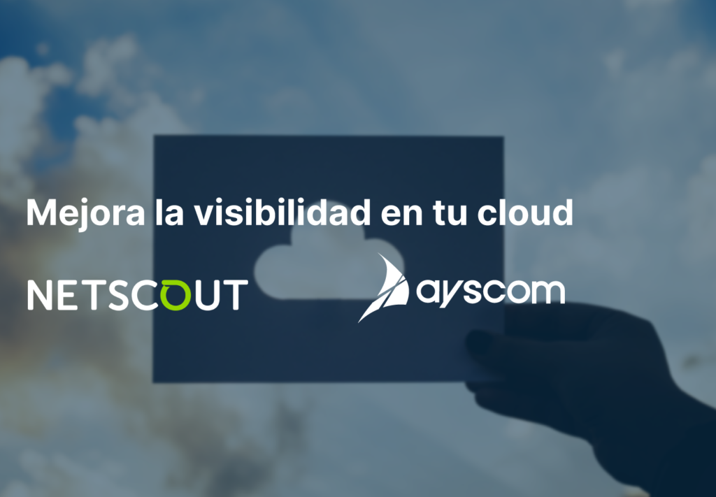 Visibilidad Netscout